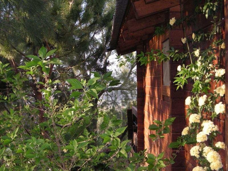 Wooden Edge Of The Village マアレ・ガムラ エクステリア 写真